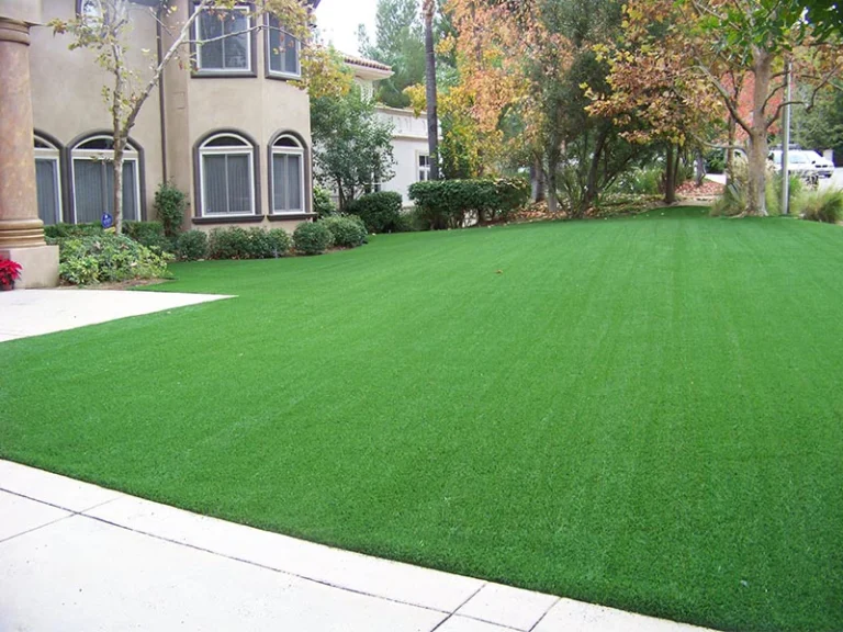 Lawn Grass Carpets