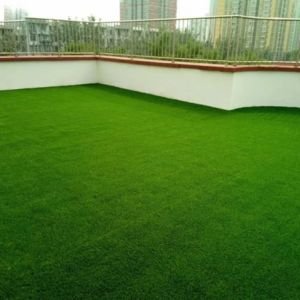 Grass Carpet Dubai