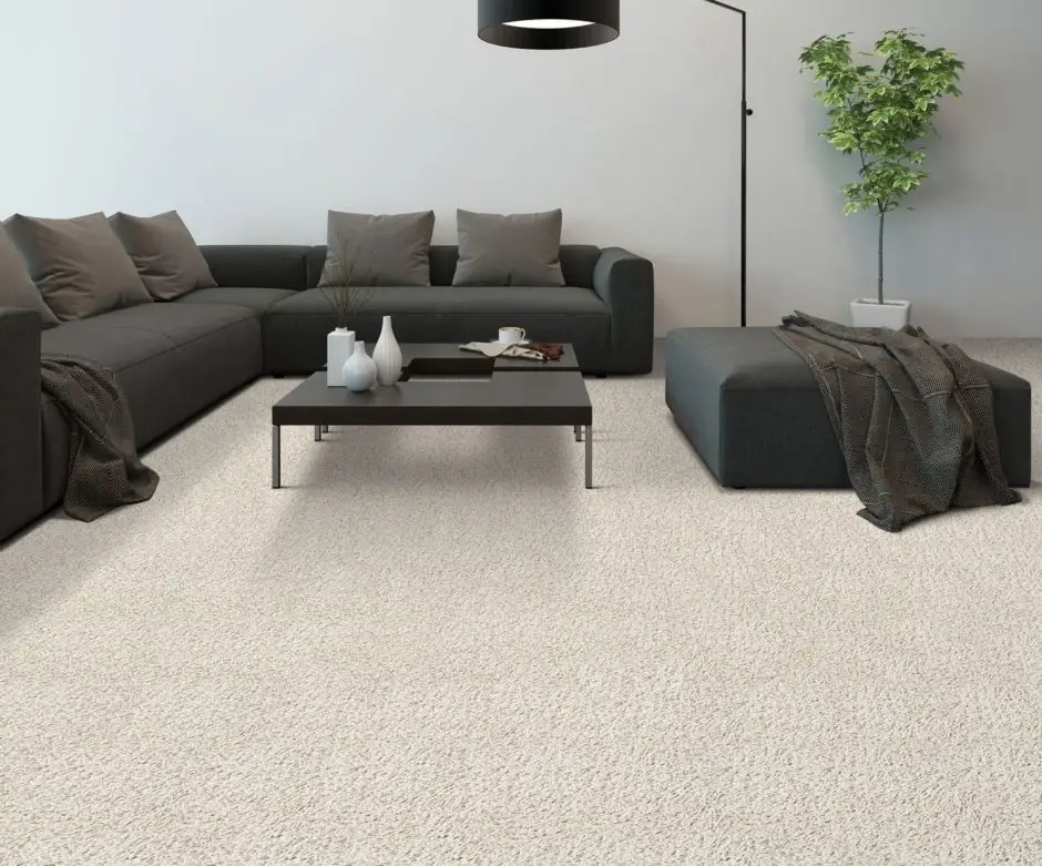 Carpets wall to wall