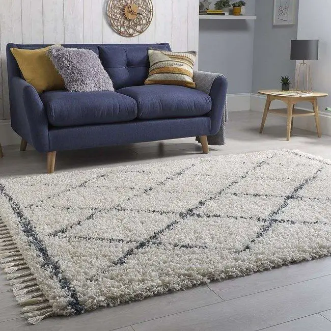 HOme shaggy carpets
