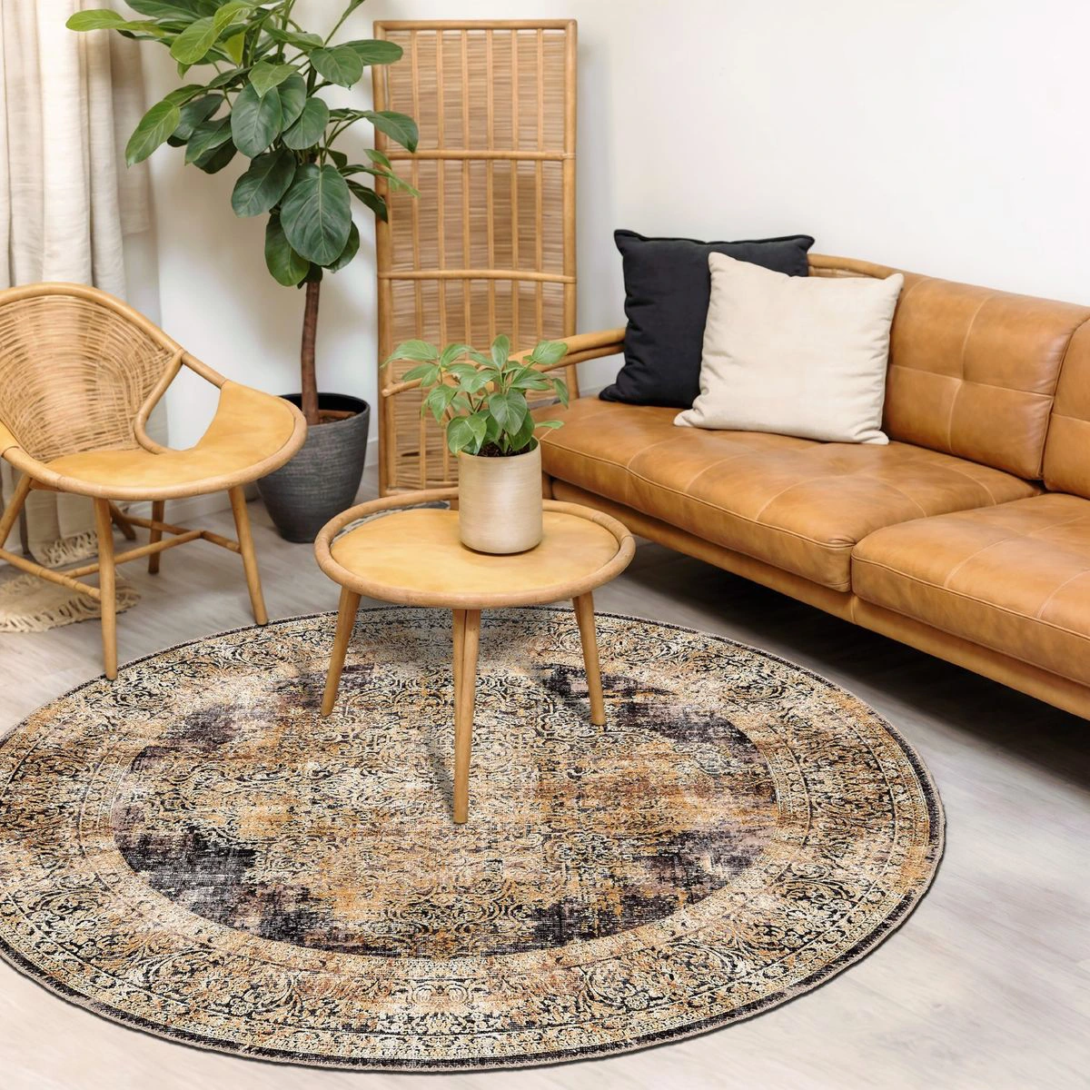 Best round rugs Dubai