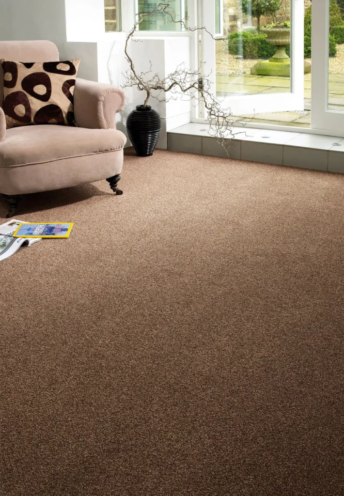 Outdoor Floor Carpets