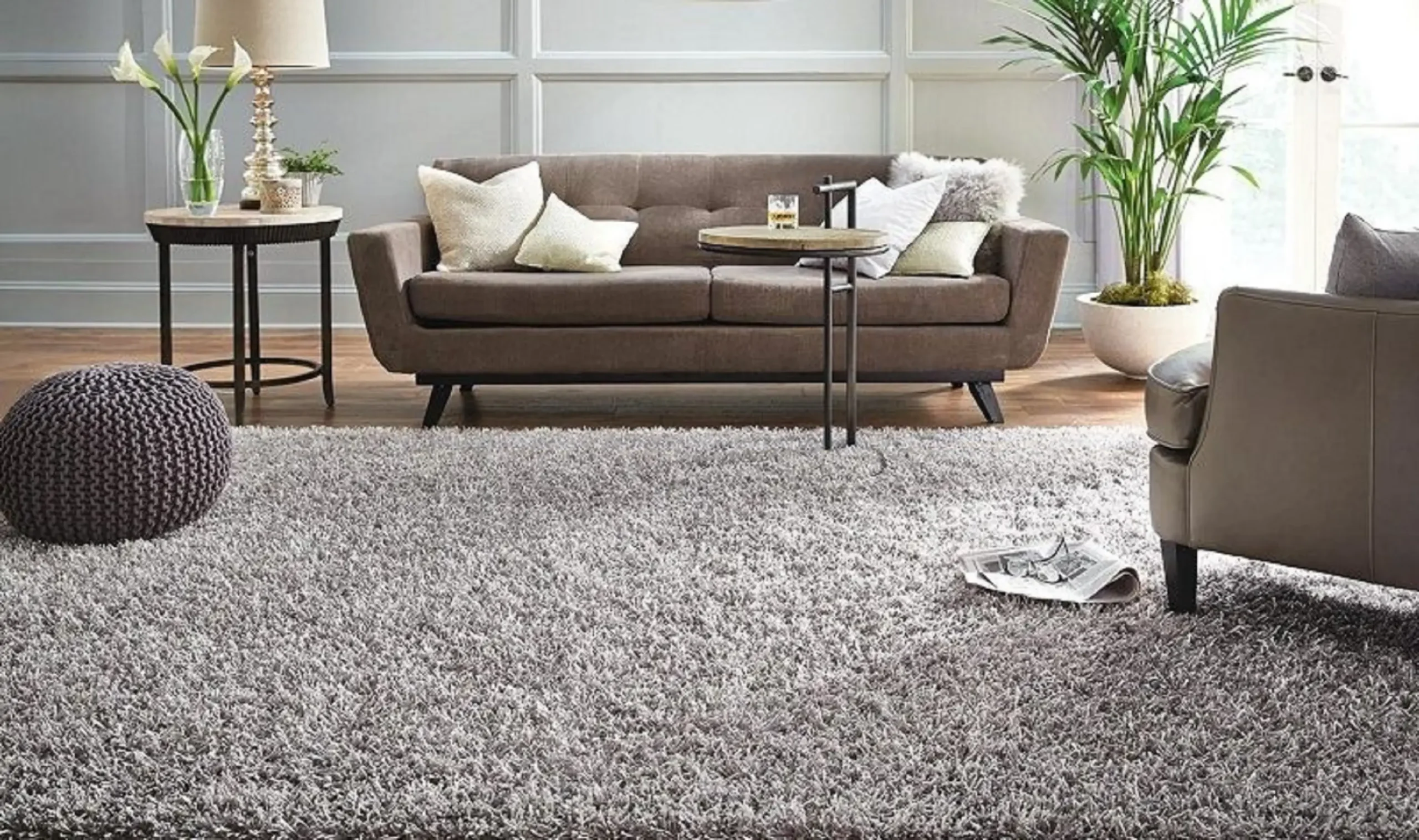 Best Rugs and carpets