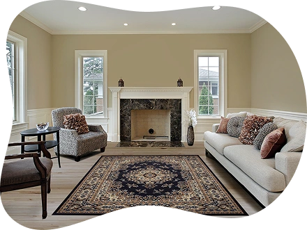 Premium Living room carpets